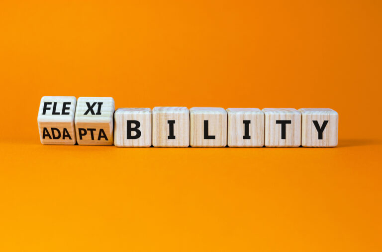 Read more about the article The Essential Role of Flexibility and Adaptability in Project Delivery